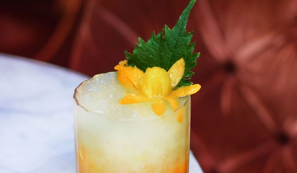 COCKTAIL OF THE MONTH